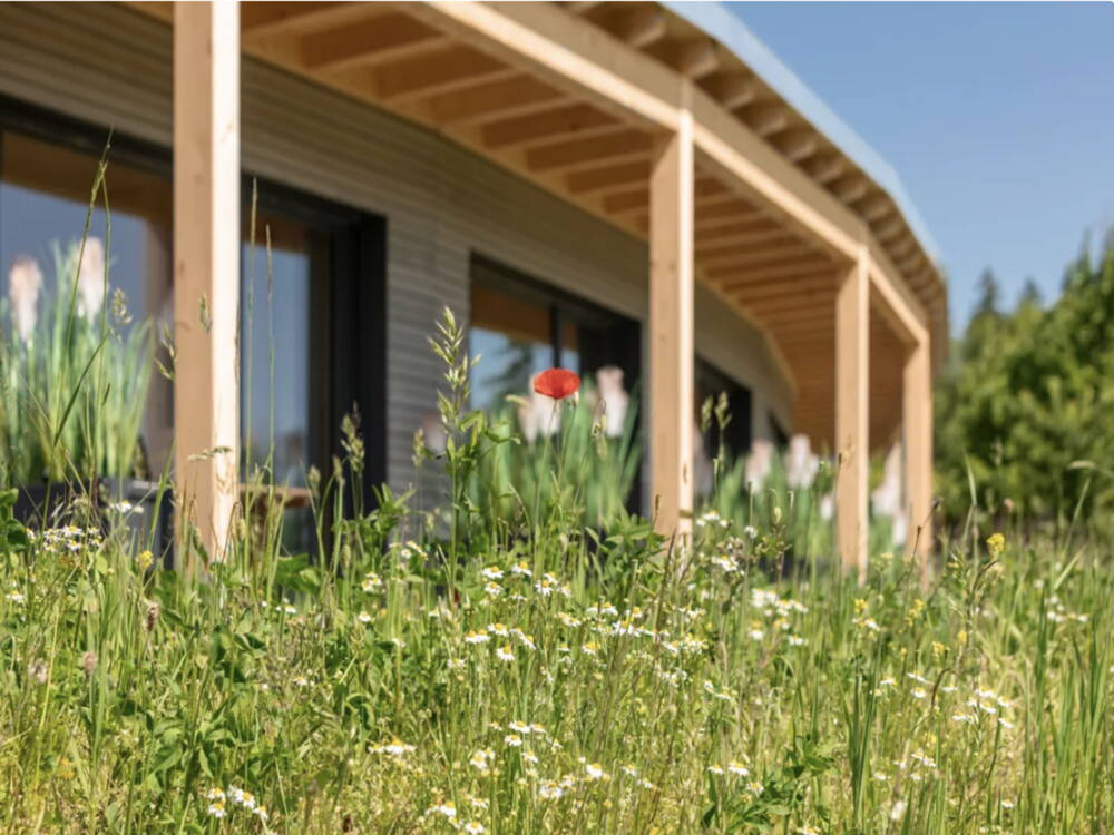 neubau.jpg neubau.jpg